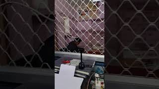 Sbi kiosk mantra iris scanner vs Marpho RD | sbi kiosk iris scanner | SBI kiosk New Update❤️😍