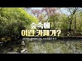 &quot;숲속 감성 카페, 수원에 이런 곳이?&quot;  #수원빵다방 #수원카페추천 #수원베이커리카페