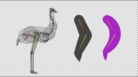 Duik Ángela Tutorial: It