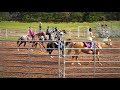 Fall Horse Fun Show