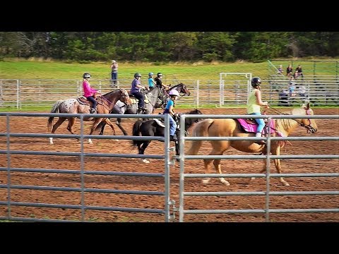 fall-horse-fun-show