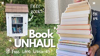 Exploring Free Little Libraries