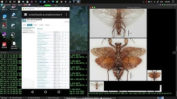 how to intercept someone