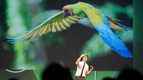 Terugblik connect to innovate 2017