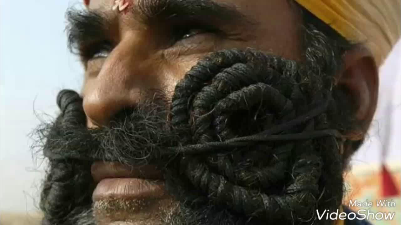 Самый рыжий человек. Заросший бородатый тип. Прически индусов мужчин. Рыжебородый гном. Редкая борода.