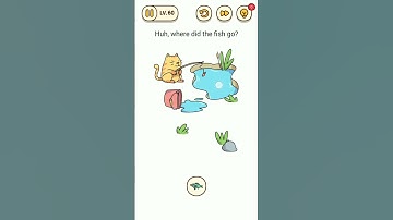 Brain Find Level 61 huh, where did the fish go.