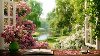 Fresh Morning Energy 🌼 Soft Piano for Study, Reading &amp; Positivity