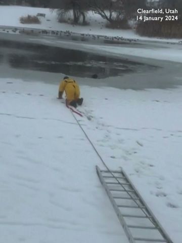 Firefighter saves dog from freezing pond