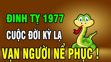 9 Sự Thật bất ngờ về Đinh Tỵ 1977: Kiếp người vất vả – bí ẩn cuối đời khiến nhiều người ngỡ ngàng!