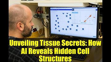 Unveiling Tissue Secrets: How AI Reveals Hidden Cell Structures