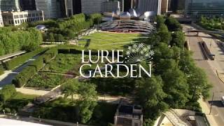 About Lurie Garden