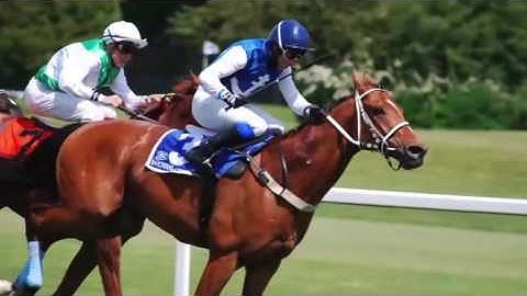 Make Money With Binary Options -  Look How I Make Money $10,000 A Month