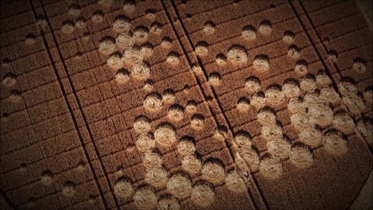 Crop Circles 2016