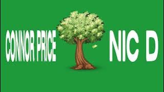 Bankroll by Nic D & Connor Price