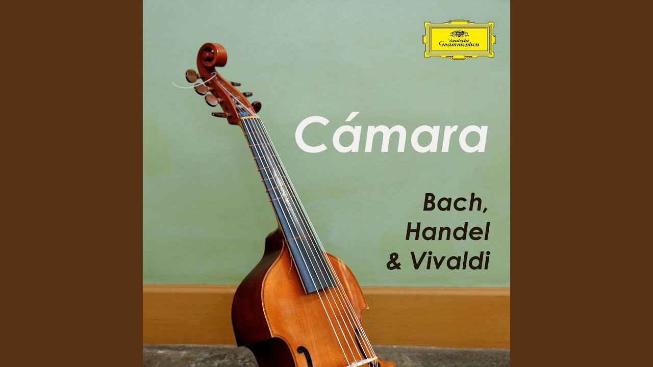 【音楽】4点セット The magic school bus DVD セール The Magic School Bus: Greatest