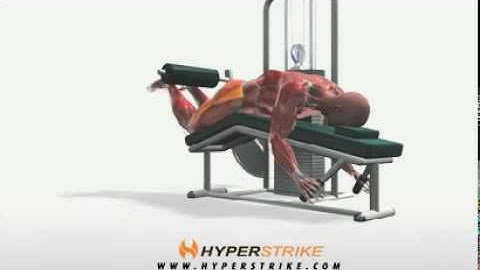 Exercise Videos- Leg Curl -- Lying Machine