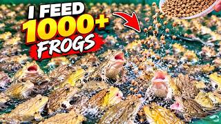 Have You Ever Seen 10,000+ Frogs! 🐸 This Is Unbelievable 😱