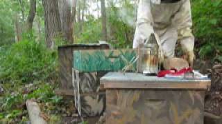 T McD's Bees Sept 6th combining hives with the newspaper method