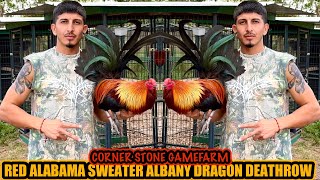 Red Alabama Sweater Albany Dragon Deathrow ~ CORNER STONE GAMEFARM