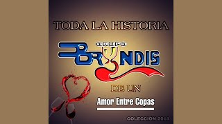 Video thumbnail of "Grupo Bryndis - " Otro Ocupa Mi Lugar " ( AUDIO COMPLETO ) Canción Oiginal"