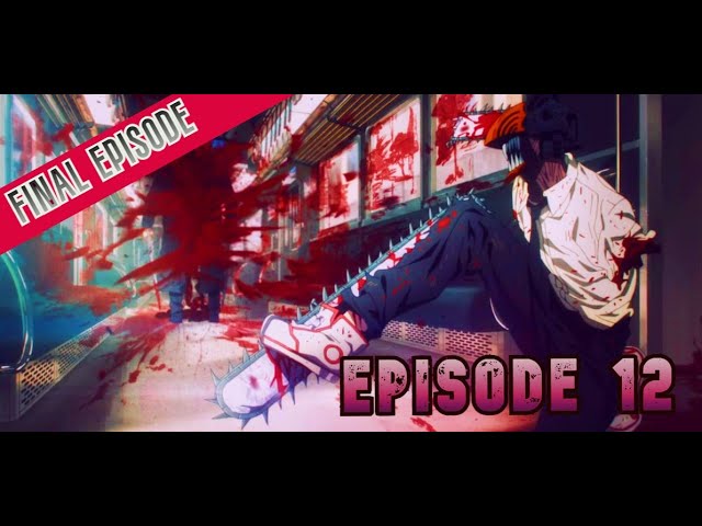 Chainsaw Man Season 1 Hindi Dubbed [12/12]