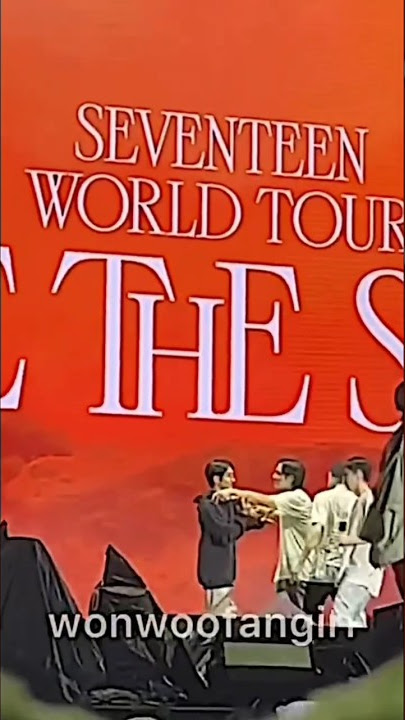 When #wonwoo got mad at #mingyu #concert #vernon #worldtour #seventeen #svt #shorts #tiktok #youtube