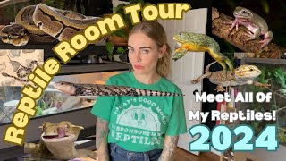 Reptile Room Tour 2024, Meet All Of My Reptiles!