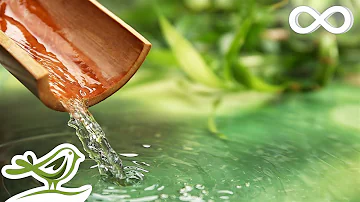 Bamboo Water Fountain and Healing Piano Music