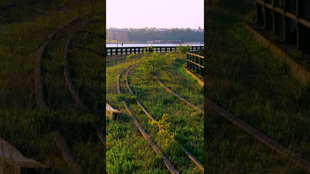 From Abandoned Railway to NYC's High Line