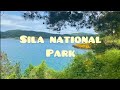 Come with us to sila national park  a full day of eating nature and fun calabria livinginitaly