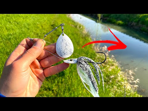 What fish will eat this GIANT LURE in a TINY CREEK! Pike and Bass fishing in Italy - Spring time