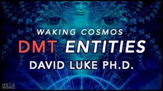 What are DMT Entities? | David Luke Ph.D. on Waking Cosmos