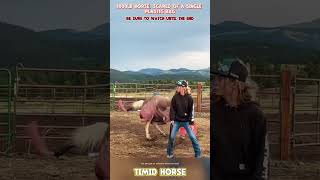 1000lb horse, scared of a single plastic bag #horse #horsetiktok #funnyhorse #funnyvideo