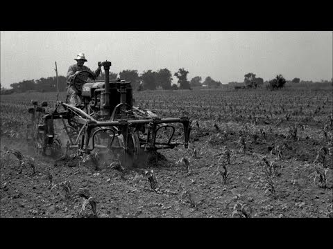 Video: Tijdens de jaren twintig boeren?