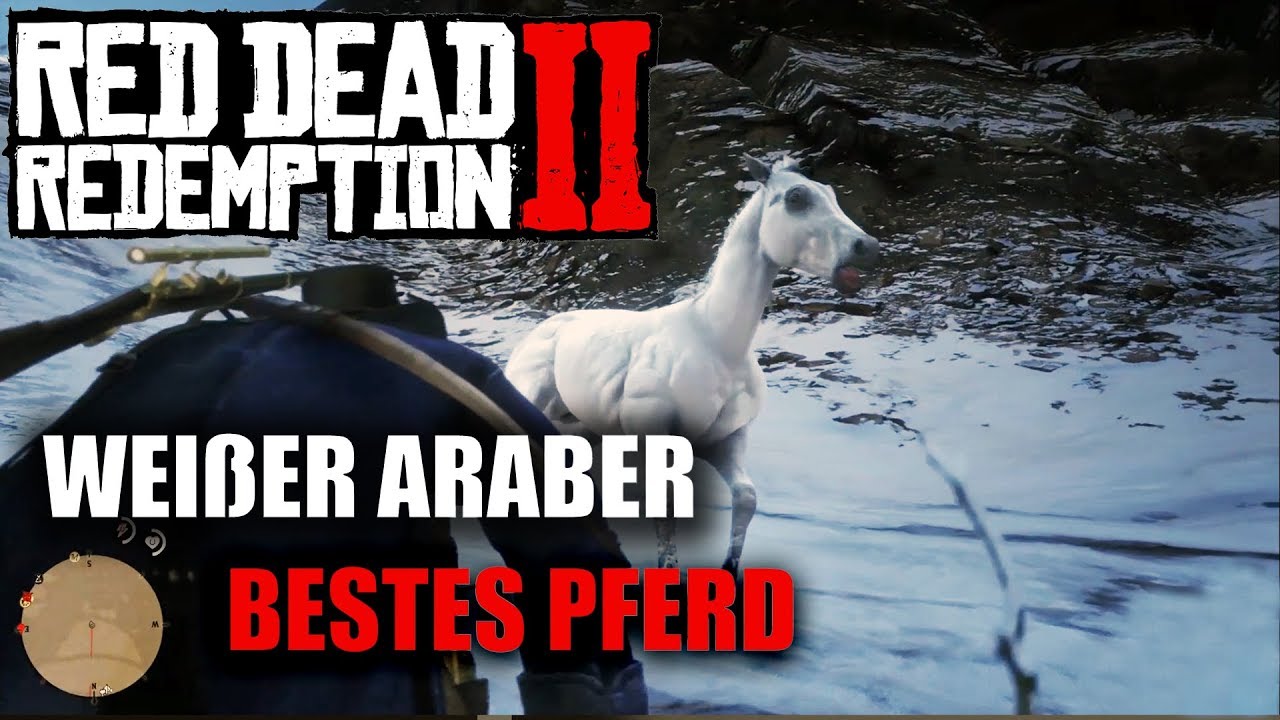 Red Dead Redemption 2 Weißer Araber Kaufen Red Dead Redemption 2 - schnellstes Pferd / Bestes Pferd - DER WEISSE