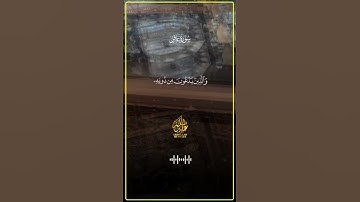 تلاوة قصيرة لكن تهز القلوب… عبدالله مصطفى 🕊️🌟