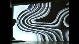 Celebrity noise filter Net Worth