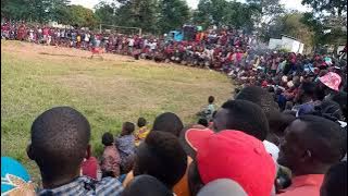 Shoo ya gelele shilunguja  mhangu