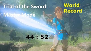 Master Mode Trial of the Sword Speedrun 44:52