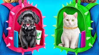 How to Make Pet Houses! Life of Different Pets
Subscribe Here: https://www.youtube.com/channel/UCsve24GRCjZuX0PmA_L3FyA?sub_confirmation=1
Don’t forget to turn on notifications, like & subscribe! How to Make Pet Houses! Life of Different Pets