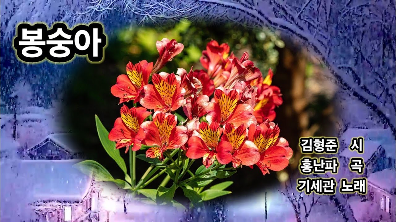 봉숭아(: 김형준  시/홍난파  곡) - 베이스  기세관. 반주: 황인화. 2026. 1.  25.