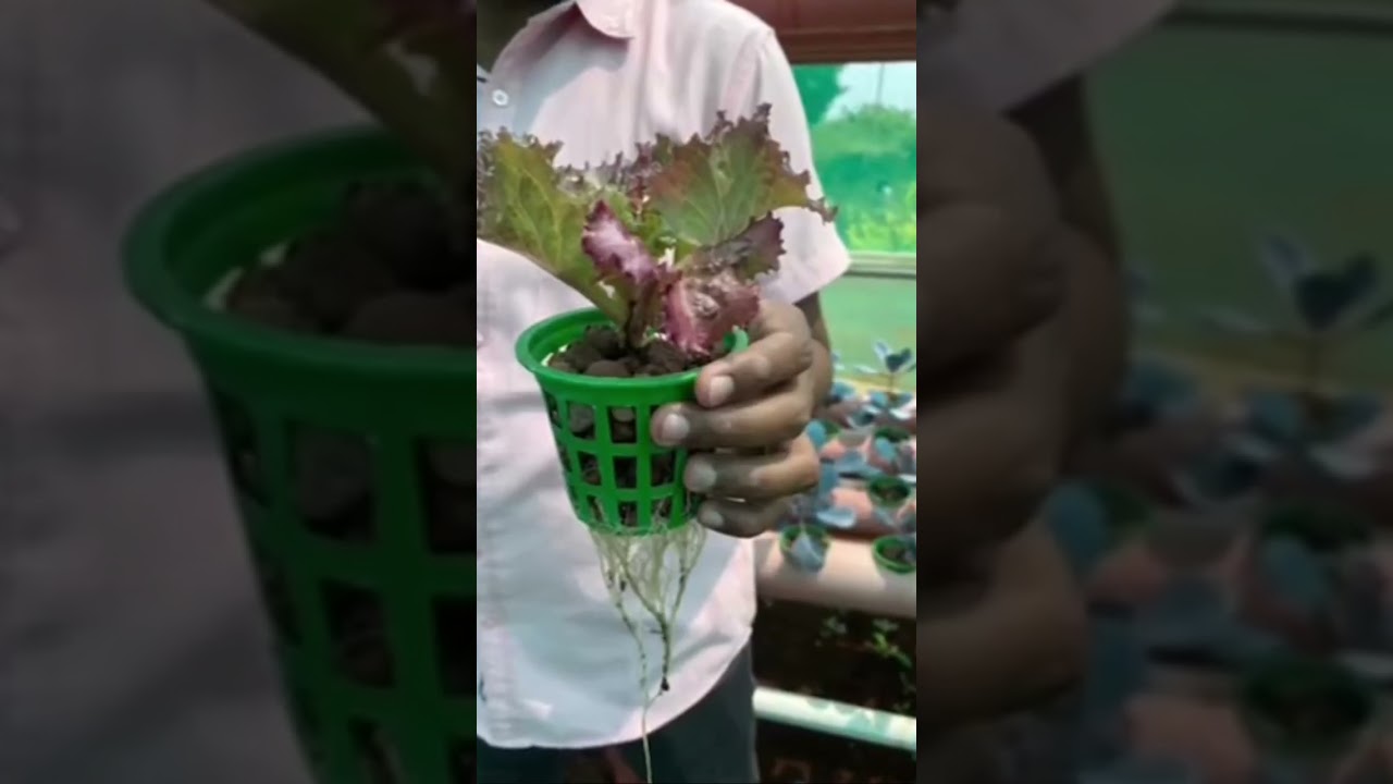 Farm to fork session for the students of @klehotelmanagement 