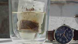 Timegravel - Diffusing Cup Of Tea