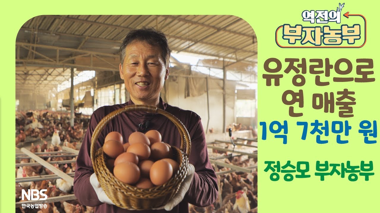 [역전의부자농부 300회] 유정란으로 연 매출 1억 7천만 원! 전북 장수 정승모 부자농부