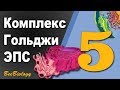 ОРГАНЕЛЛЫ клетки  •  ЭПС  •  Комплекс Гольджи