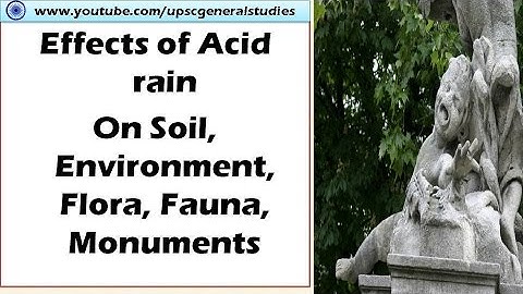 Effects of acid rain on soil, Flora fauna, Monuments, Microorganisms, Human beings
