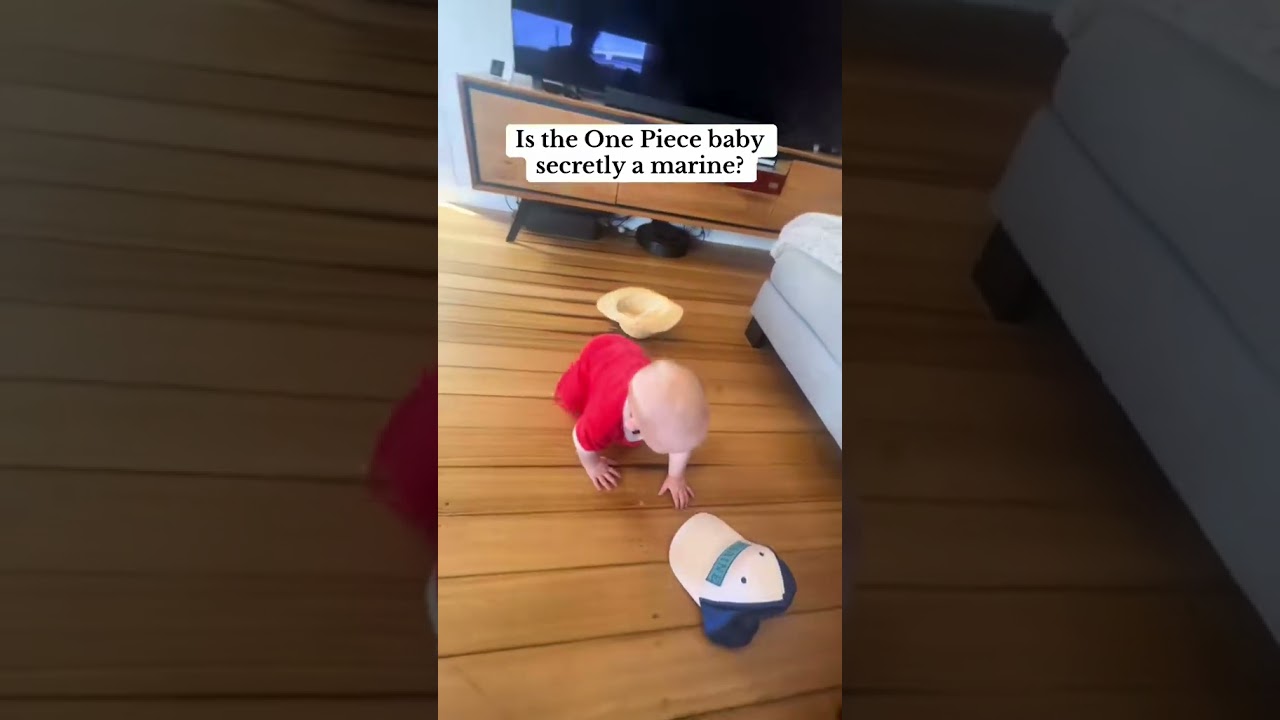 I found proof that the One Piece baby is a marine 😭 
