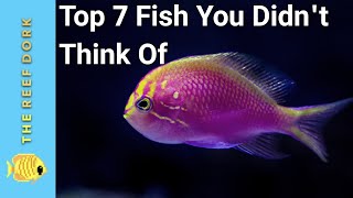 Top 7 Fish You Didn't Think Of (Part 2)