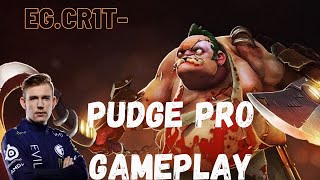 Cr1t- Support Pudge | EG vs The Cut Game 2 - Dota 2 Pro POV [7.29]