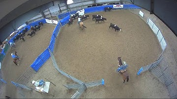 Big Sky Ranch Sorting Saddle Series Finals - #3 - Round #2 - Ride #14